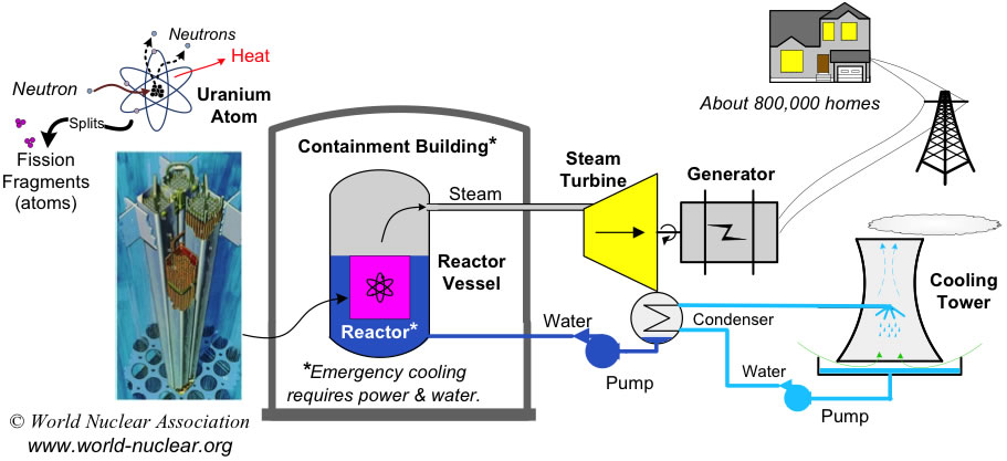 Water-Cooled Reactors